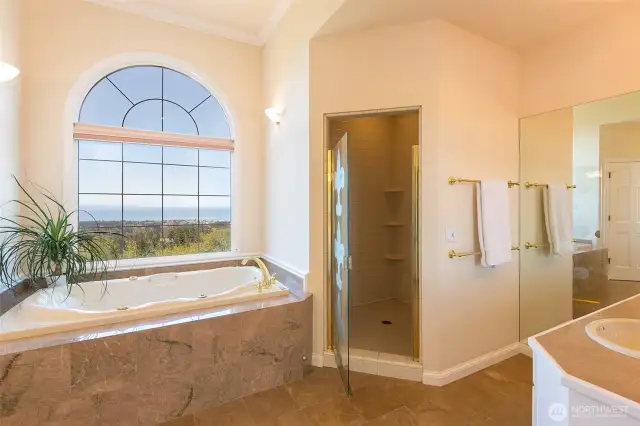 Primary bedroom suite; soak in the lovely tub while enjoying waterviews. Separate shower, two separate vanities and multiple walk-in closets
