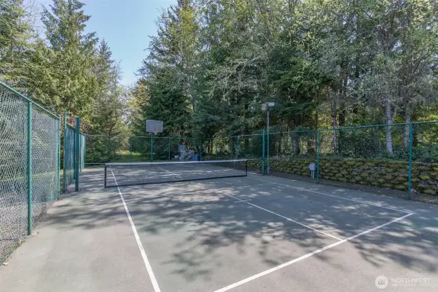 The pickleball/sport court