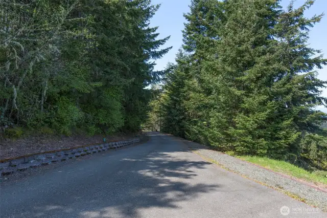 Very private for you, this is the view down the driveway to Harbor View Drive