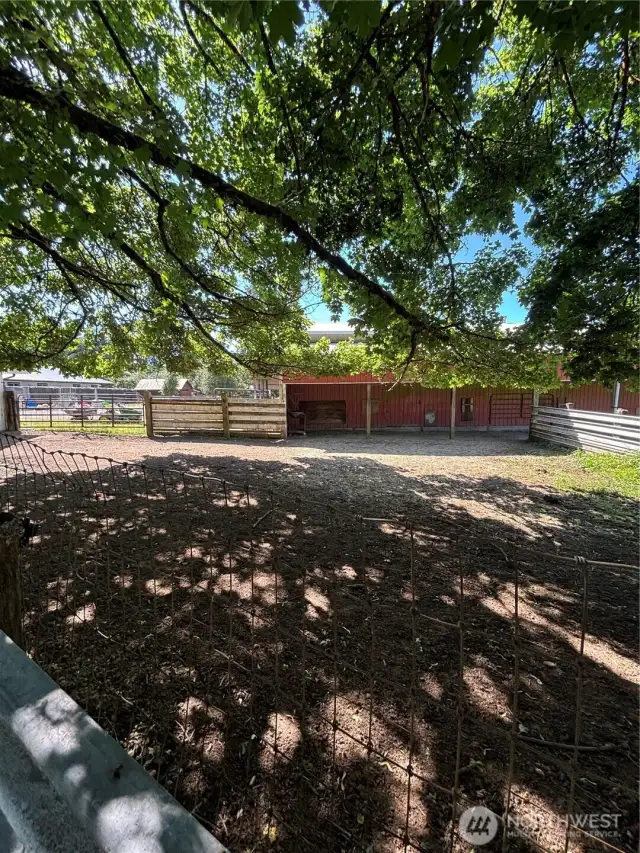 view of one paddock by barn