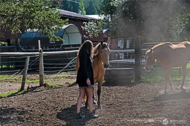 Property is currently home 8 horses, 2 minis and 2 goats