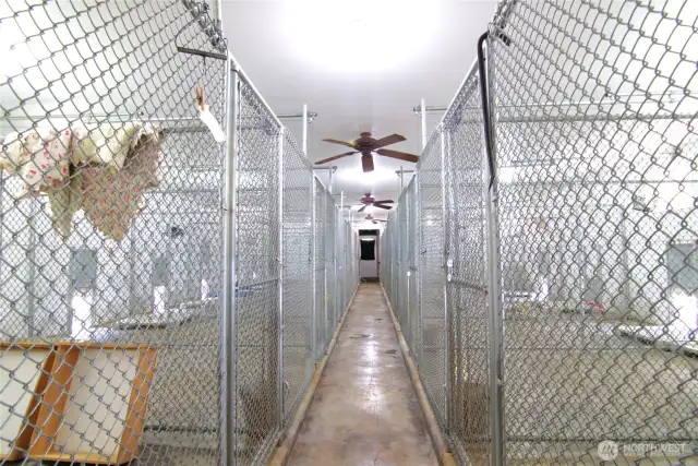 Interior of the kennels