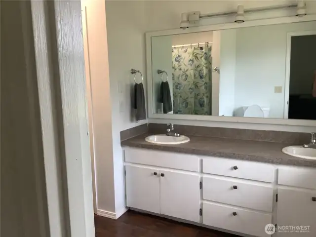 Guest/hallway bathroom