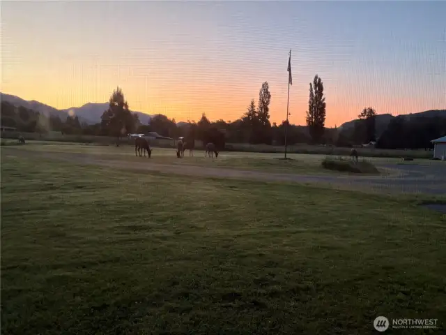 Some visitors enjoying the sunset