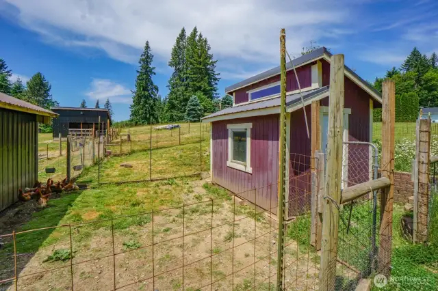 Chicken Coop
