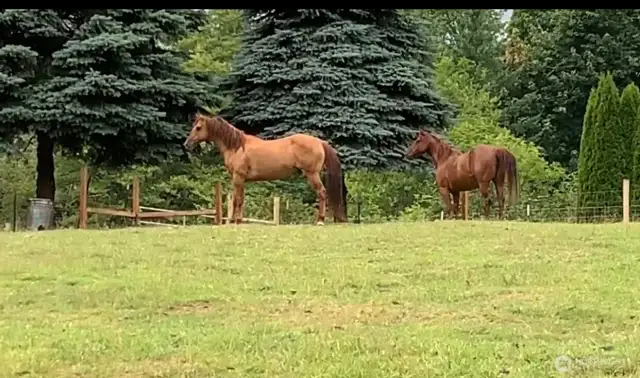 Horses welcome!