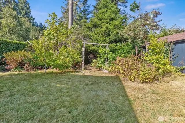 Enjoy a nature walk through your own fruit path. Apples, blueberries, raspberry's and more!
