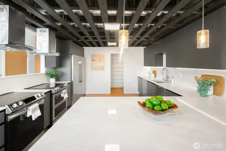 Chef's kitchen with 2 induction stoves, 2 dishwashers, and a full size refrigerator & freezer