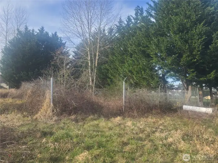 Chain link fencing around the perimeter of the property