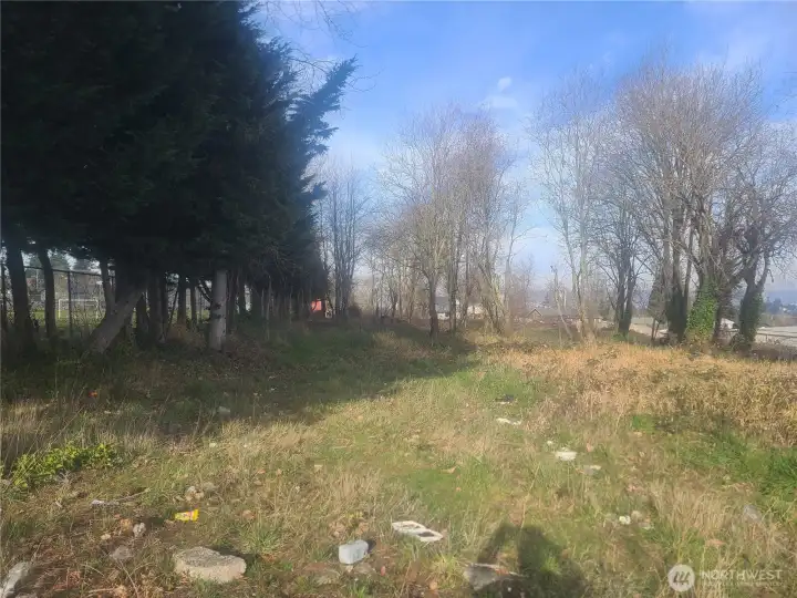 N Street Right of Way looking North, with Blix Elementary property on the left (West)