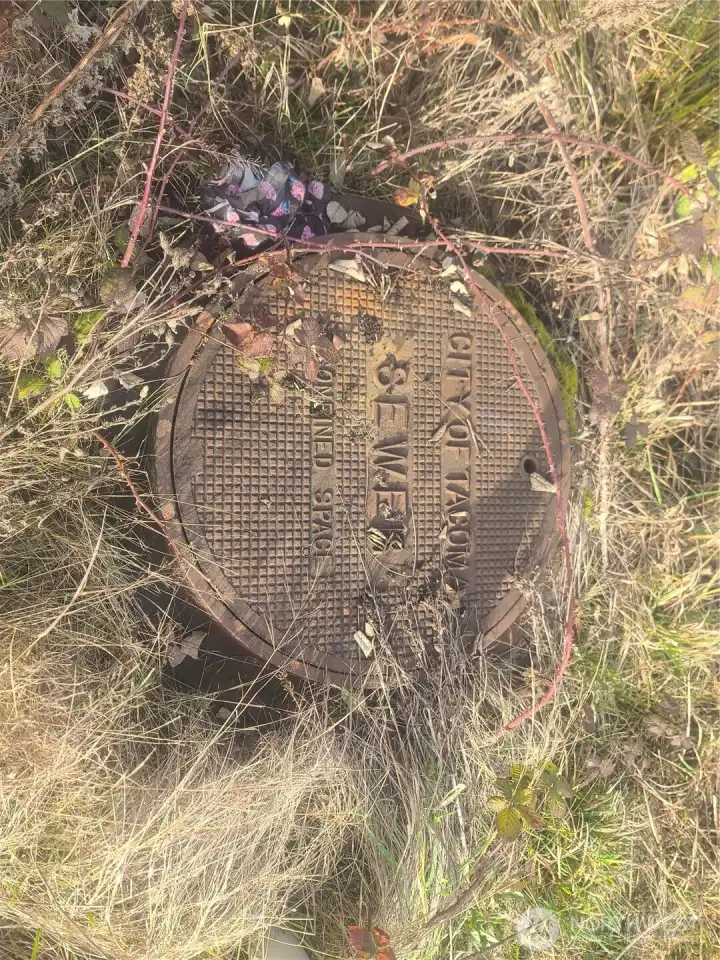 Sewer manhole in front of the property