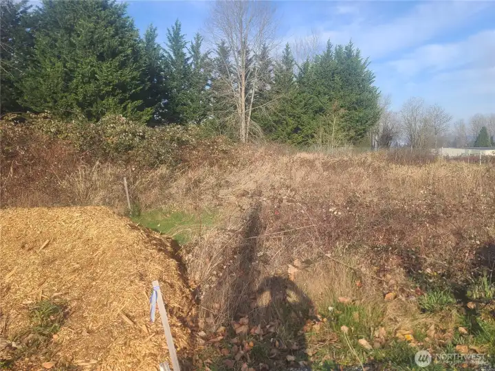The North end of the access easement that needs to be extended a short distance to the West side of the property.