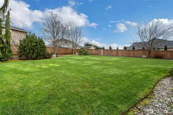 Grass Yard with Sprinklers