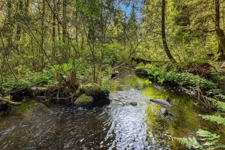 Year round Salmon Creek.