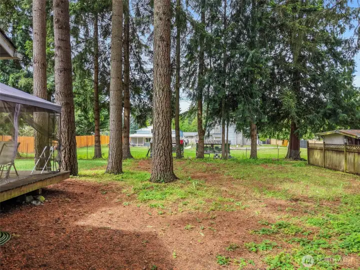 Side yard has wooded area Side yard has wooded area