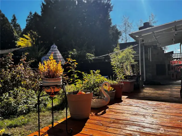 Backyard - Deck