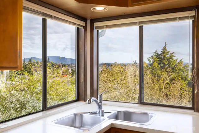 enjoy the view while washing dishes