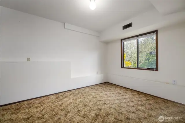 2nd lower bedroom