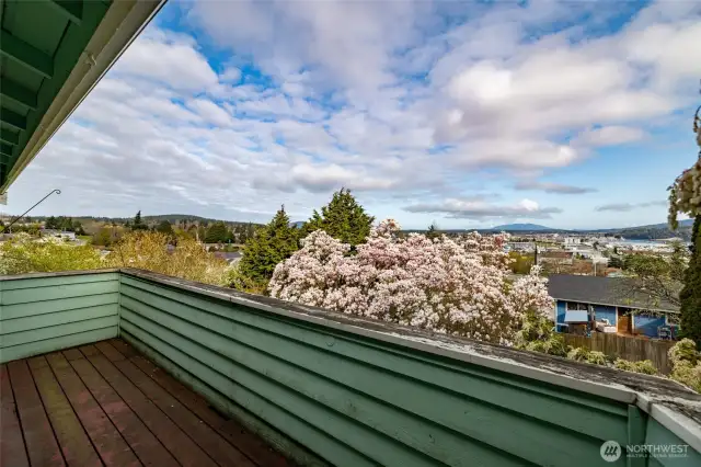 Looking over trees towards town. Trees are on this property and could be topped to enhance view.
