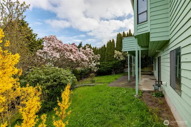 Backyard with lovely established landscaping