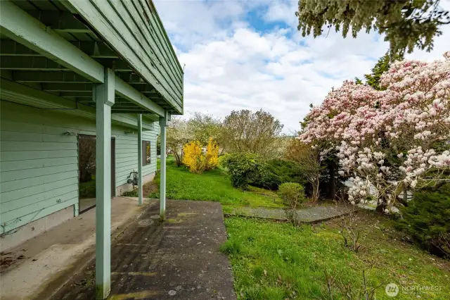 Backyard is very low-maintenance