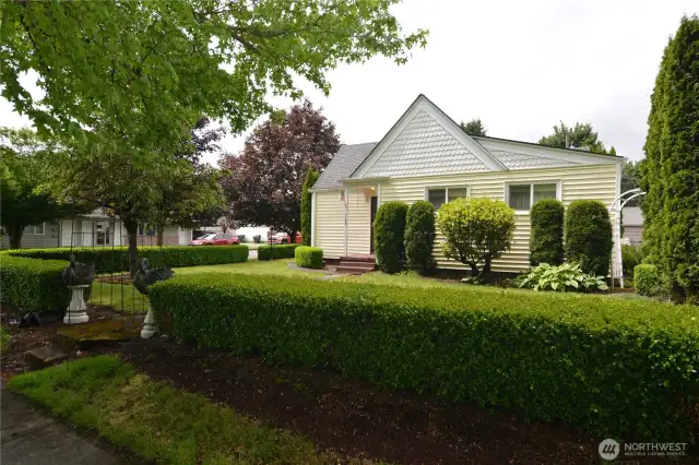 Front Yard & Hedge