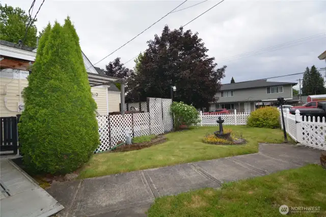 Fenced Back Yard