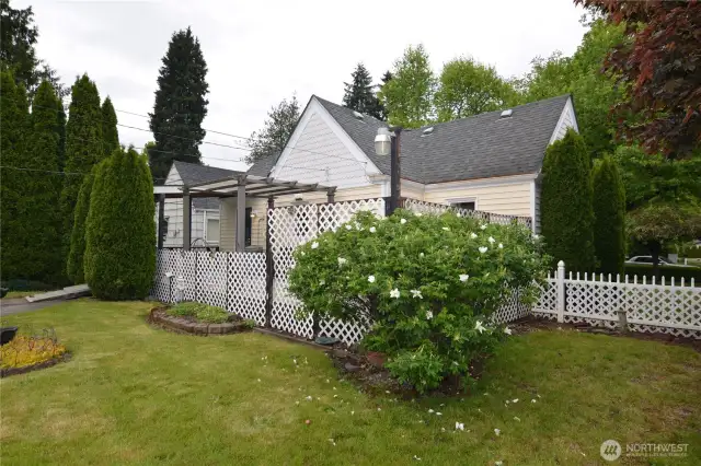 Fenced Back Yard