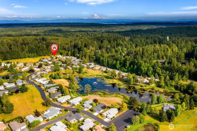 The Lakes community in all its glory!