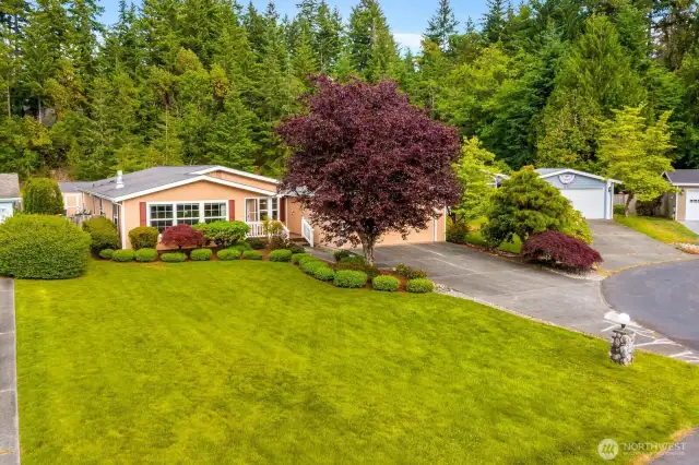 Own the most enviable lawn in the community!