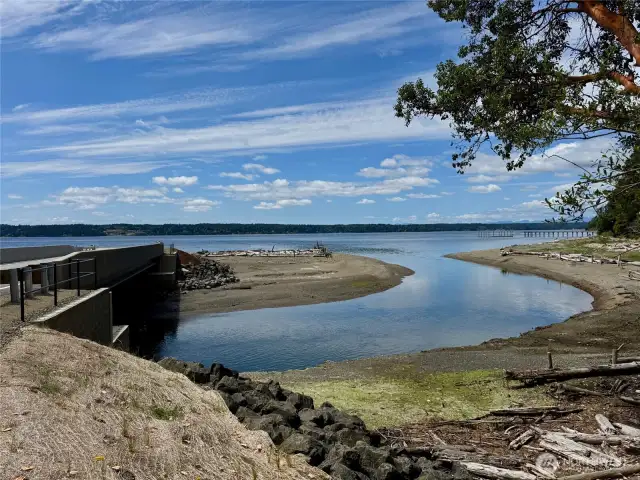 Whiteman Cove is now open to the Puget Sound