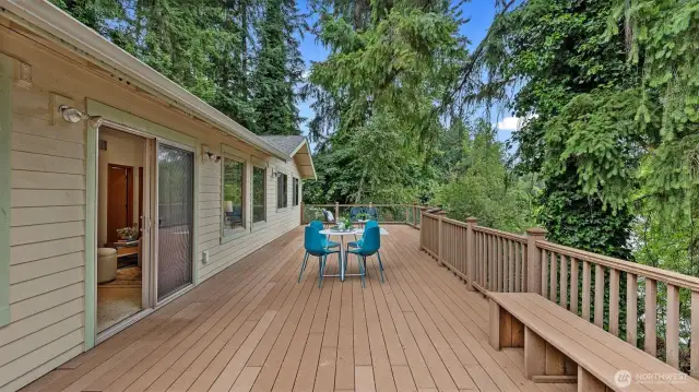 Expansive Deck with view
