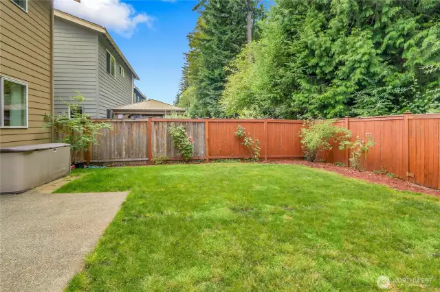 Backyard patio with electrical outlet for yardwork, BBQing or entertaining.