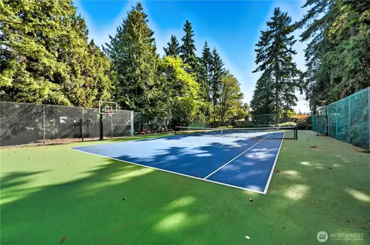 The association offers a clubhouse, fitness room, game room, hot tub, pool and this tennis/pickleball/basketball court. Come see it all today!