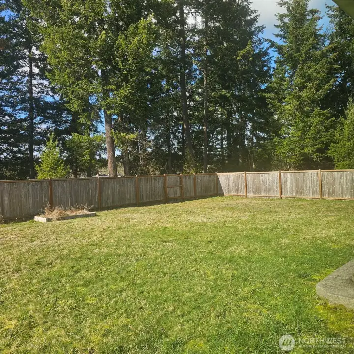 Large fenced backyard