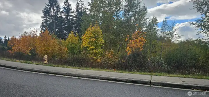 View of the lot from the road