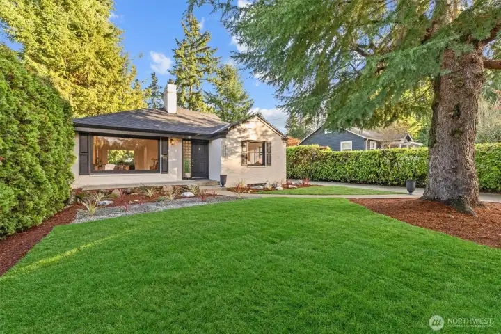 Front yard with fresh sod and professional landscaping