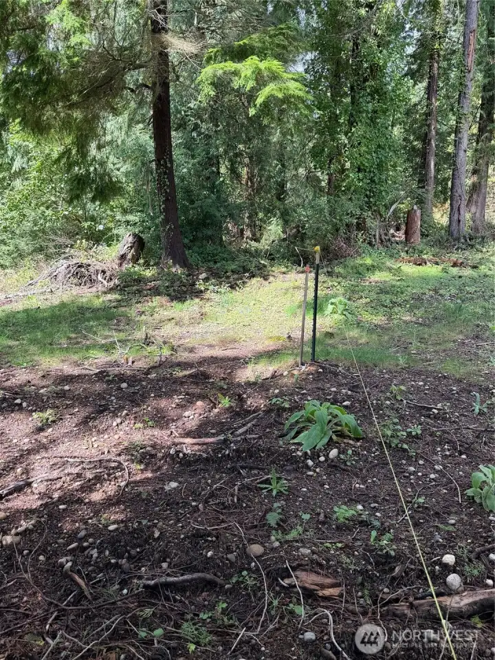 The stringline runs along the property line between lot B (left of line) and lot A. This listing is for Lot B, Lot A is the view lot that recently sold.
