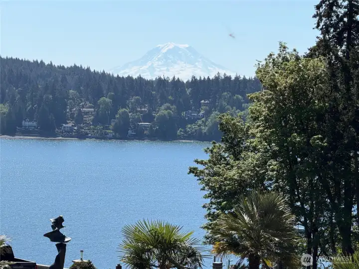 Mt. Rainier is tucked behind the trees to the right when standing on this lot.