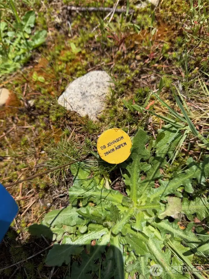 This property is well surveyed with property corners well marked.