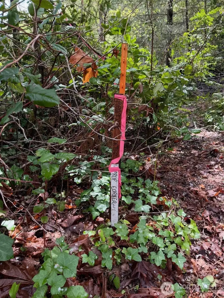 More survey markers...