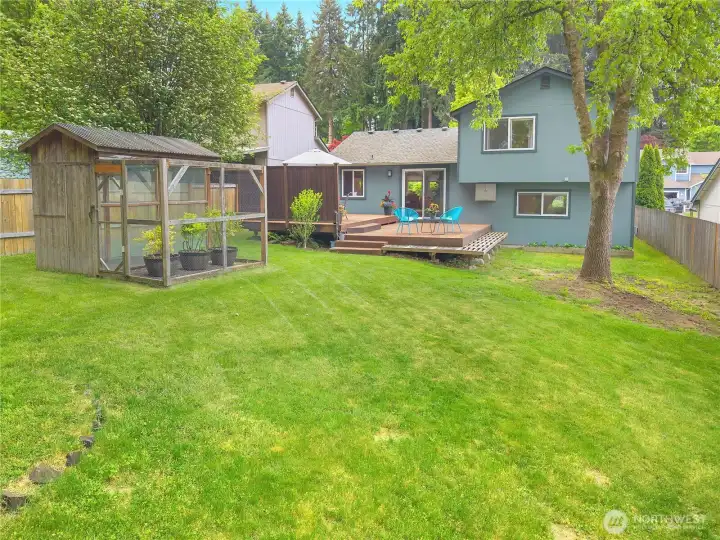 Large backyard to play in