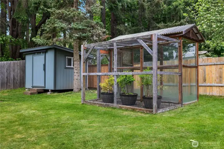 Storage shed, green house, and screened blueberry bush enclosure.
