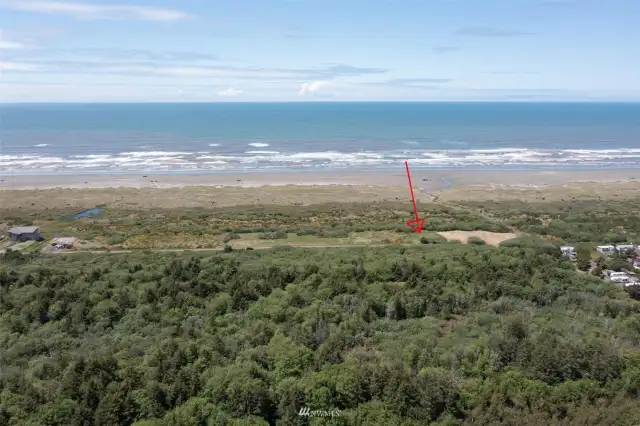 Oceanfront buildable lot, arrow marks the approximate location of the 1/4 acre building site on the primary dune.