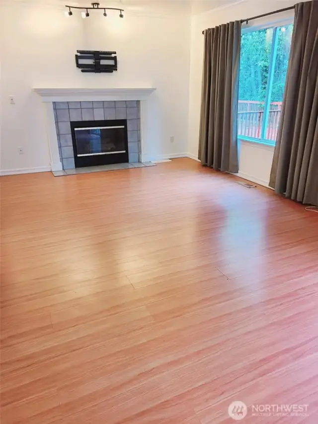 gas fireplace