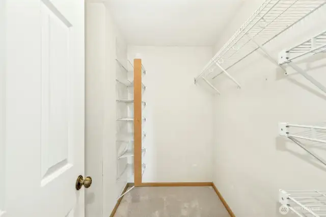 Good sized walk-in closet with added shelving.