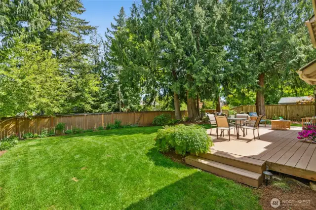 Lots of lush grass for pets and play.