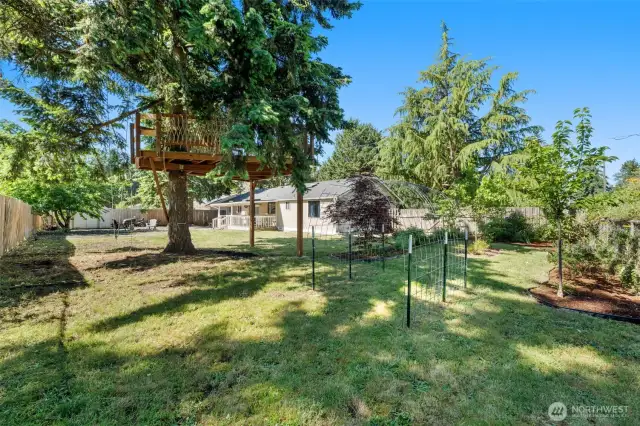 Backyard: Garden on Right, Tree House