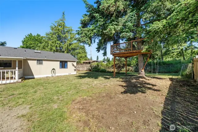 Backyard and Tree House