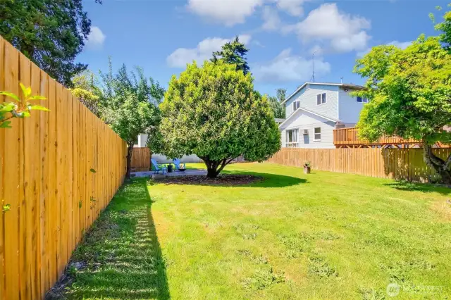 Expansive backyard is a true outdoor bonus